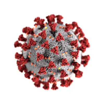 Koronavirus SARS-COV-2 (COVID-19)